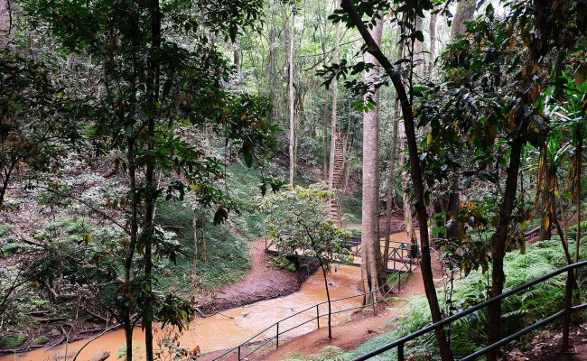 Karura Forest & Nairobi Eco Tour travel package