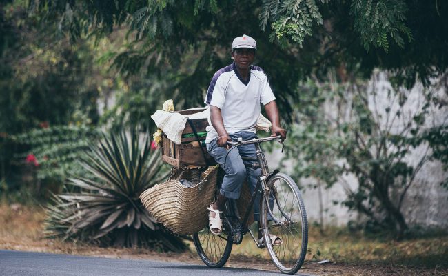 Kenyan Coast & Culture Escape travel package